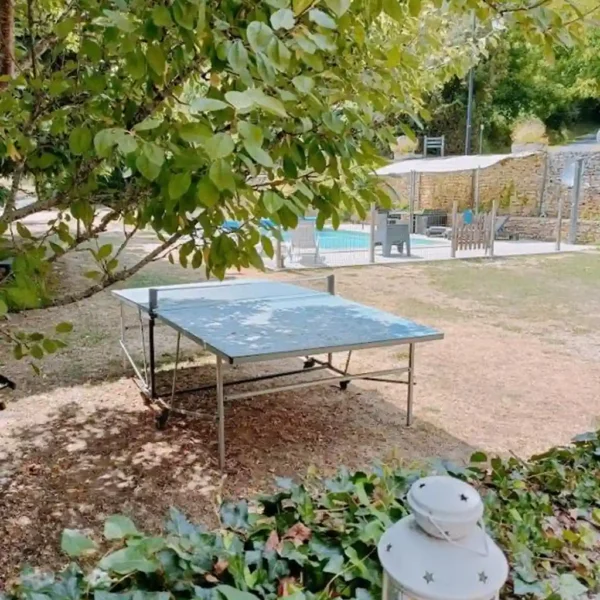 location_gite_sarlat_dordogne_monpazier_sejour_de_charme_perigord_noir_detente_villefranche_du_perigord_prats_du_perigord_gite_pierre_piscine_demeures_pingpong2